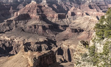 Famous Grand Canyon in Arizona, USA, North America