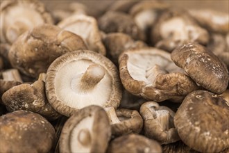 Portion of fresh Shiitake mushrooms close-up shot, selective focus