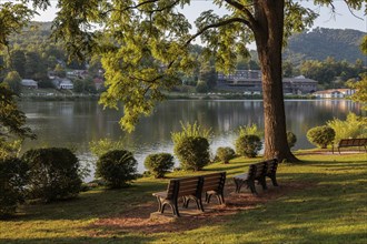 Benches provide quiet place under a large tree to enjoy the peacefullness of the lake at Lake