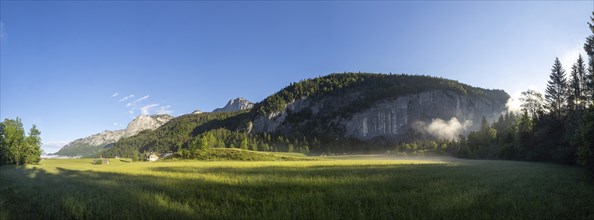 Morning atmosphere at sunrise, early morning fog in a forest, behind the Gossler Wand, panoramic