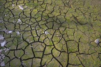 Ripped up earth in a dry carp pond, Franconia, Bavaria, Germany, Europe