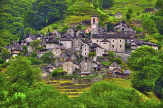 Beautiful Old Rustic Alpine Village on the Mountain Side with Green Trees in Corippo, Ticino,