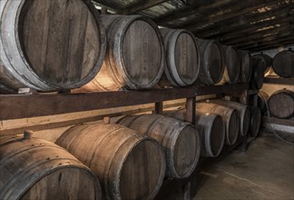 Wooden barrels with Cachaca in a destillery near Paraty, Brazil, South America