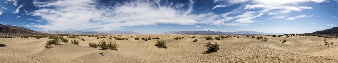 Mesquite Sand Dunes (Death Valley National Park, California, USA)