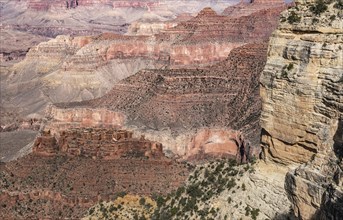 Grand Canyon National Park in Arizona, USA, North America