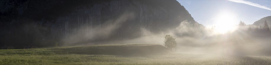 Morning atmosphere at sunrise, early morning fog over a meadow, behind the Gossler Wand, panoramic