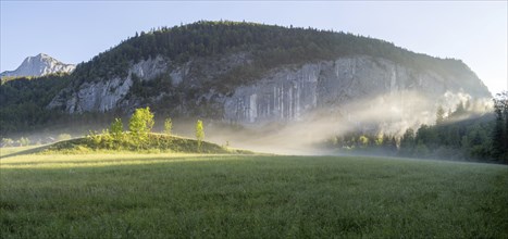 Morning atmosphere, early morning fog over a meadow, behind the Gossler Wand, panoramic shot,