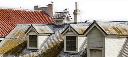 Roof with pigeons on Alcatraz Island on white background