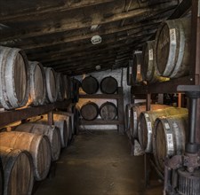 Wooden barrels with Cachaca in a destillery near Paraty, Brazil, South America