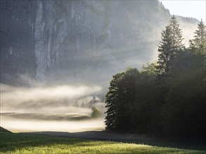 Early morning fog over forest and fields, Gossler Wand, Gossl, Salzkammergut, Styria, Austria,