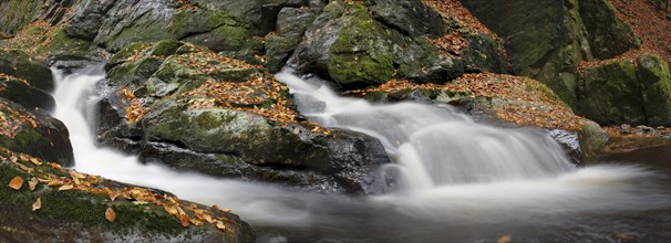 Stream with waterfalls flowing through a rocky autumn landscape, covered with colourful leaves,