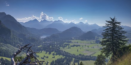 Neuschwanstein Castle, Hohenschwangau near Füssen, Ostallgäu, Allgäu, Bavaria, Germany, Europe