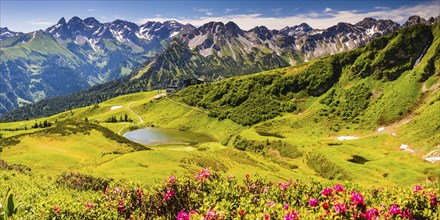 Alpine rose blossom, panorama from the Fellhorn over the Schlappoldsee and mountain station of the