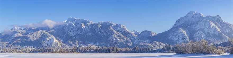 Neuschwanstein Castle near Hohenschwangau, Romantic Road, Ostallgäu, Bavaria, Germany, Europe