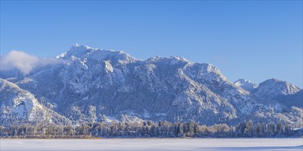 Neuschwanstein Castle near Hohenschwangau, Romantic Road, Ostallgäu, Bavaria, Germany, Europe