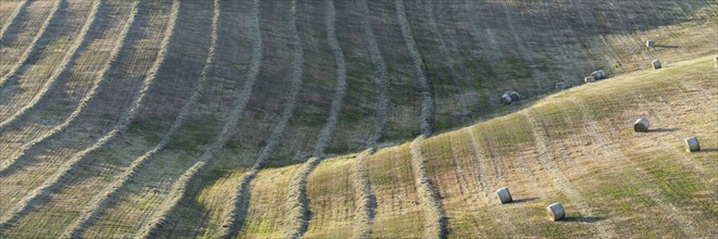 Harvested wheat field with bales of straw, landscape around Pienza, Val d'Orcia, Orcia Valley,