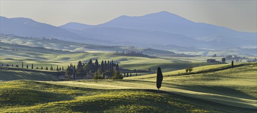 Landscape at sunrise around Pienza, Val d'Orcia, Orcia Valley, UNESCO World Heritage Site, Province