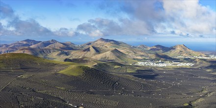 Panorama at sunrise from Montana de Guardilama to the wine-growing region of La Geria, with the