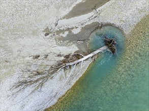 Top Down over Vjosa River National Park from a drone, Wild River, Albania, Europe