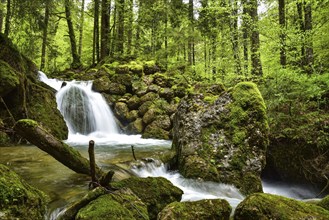 Long exposure of a waterfall on the Steigbach in the Steigbachtobel near Immenstadt in Oberallgäu,