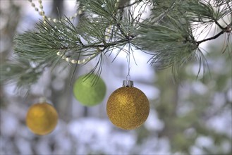 Three round gold and green Christmas ornaments and gold garland hang from the boughs of an Austrian