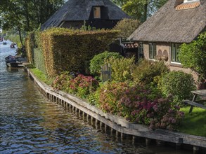 Cosy house on the canal with well-kept hedge and blooming flowers along the bank, giethoorn,