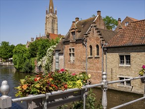 A canal with decorated balustrades and flowers along the row of brick-built houses in front of a