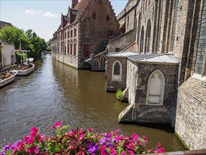 Vibrant flowers bloom near a canal, flanked by historic buildings, Bruges, Belgium, Europe