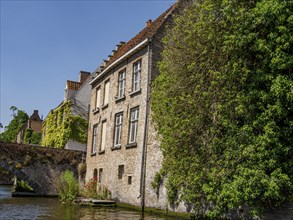 A historic building on the banks of the canal, overgrown with green ivy, radiates peace and