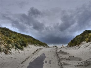 An empty dune path to the sea under a dramatically cloudy sky with a stormy atmosphere, juist, east