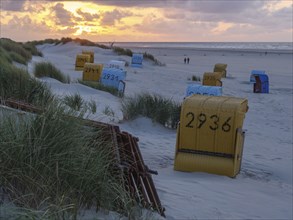 Beach chairs in different colours at sunset on a sandy beach with green dunes, juist, east frisia,
