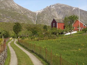 Red house and meadow with flowers next to a path in front of Bergen under a clear sky, Eidfjord NOR