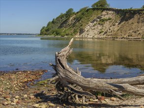 A scenic lakeshore with a piece of driftwood in the foreground and steep cliffs in the background,