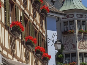 Half-timbered house with blooming red flower pots and historic architecture in the sunshine,