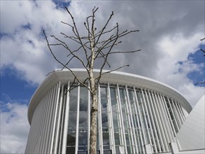 A modern building with a glass façade and a bare tree in front of it under a cloudy sky, Luxembourg