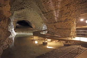 Monsted lime pits, Jutland, Denmark, 10000 bats hibernate here, Europe