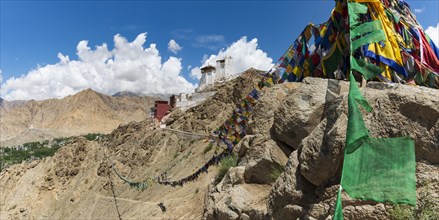 Namgyal Tsemo Gompa Monastery, Tsenmo Hills, Leh, Ladakh, Jammu and Kashmir, India, Asia