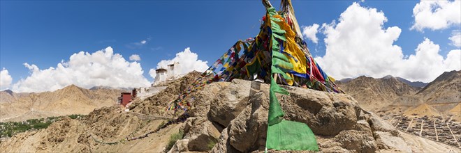 Namgyal Tsemo Gompa Monastery, Tsenmo Hills, Leh, Ladakh, Jammu and Kashmir, India, Asia