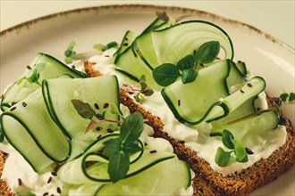 Breakfast, cereal bread sandwiches, cream cheese, sliced cucumber, with micro greenery on a light