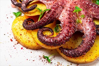 Octopus with potatoes and spices, on a light plate, top view, no people, homemade, close-up