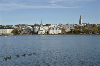 Tjornin, Reykjavik, Island