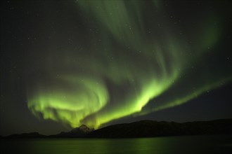 Auroras during new Moon in the bay near Gronnedal (Kangilinnguit), Southwest Greenland in Autumn