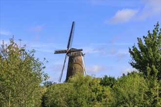 Windmill rises above the treetops, blue sky and scattered clouds in the background, bredevoort,