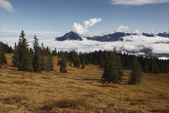 Above the clouds on the Horner Group