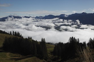 Above the clouds on the Horner Group