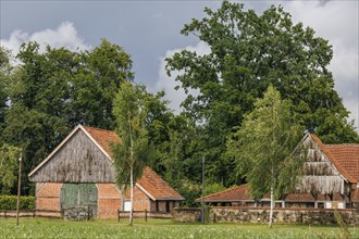 Two rustic brick barns surrounded by green trees and meadows, Raesfeld, westphalia, germany