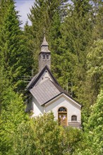 White church with a high tower, idyllically situated in the middle of a dense forest, Achernsee,