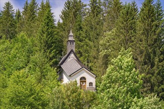 Small church with tower, hidden in a dense forest area on a beautiful summer day, Achernsee,