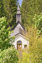 Small church in a forest setting with a narrow tower, surrounded by dense foliage and nature,