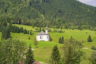 White church on a grass-green hill in the middle of a picturesque and wooded landscape, Achernsee,